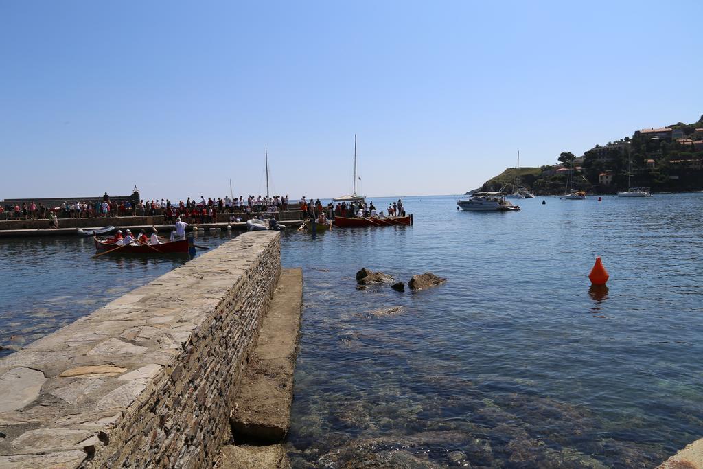 Apartment Centre Parking Gratuit Collioure